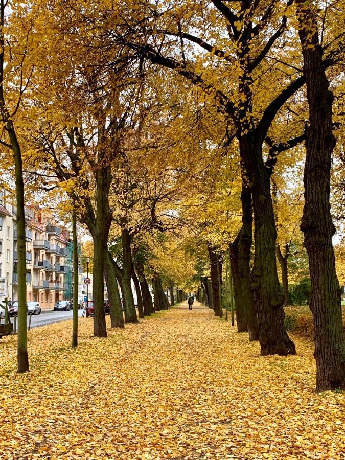 Viadrina Rooms & Apartments Frankfurt-Oder Am Park Im Zentrum Frankfurt  Bagian luar foto